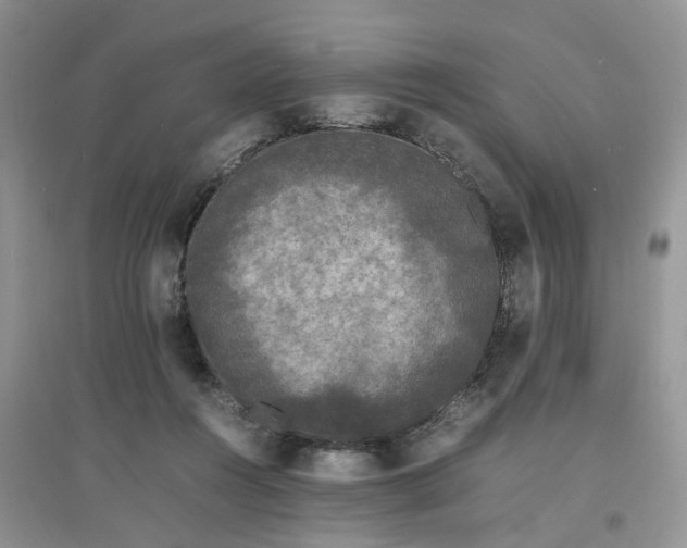 X0000097620360200803142007