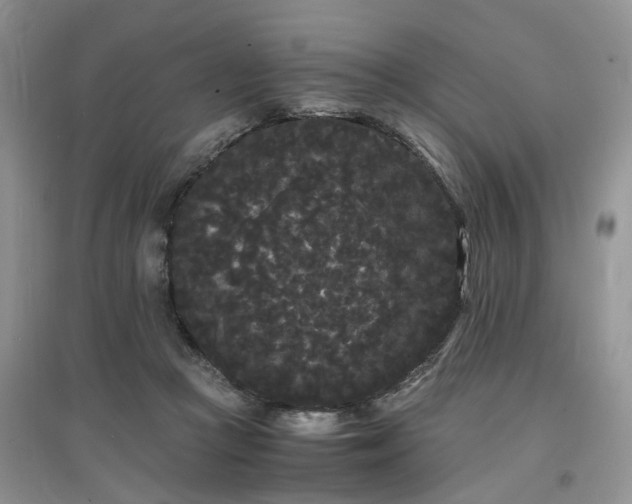 X0000097620361200803142007
