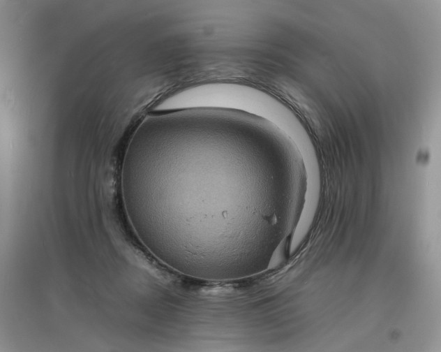 X0000097620362200803142007
