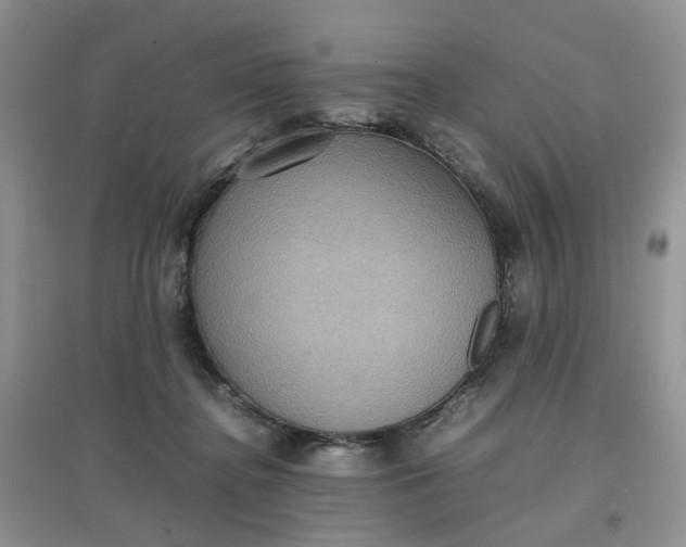 X0000097620364200803142007