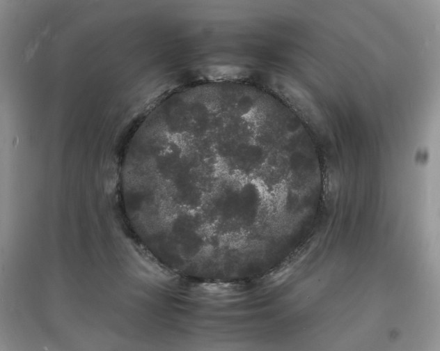 X0000097620367200803142007