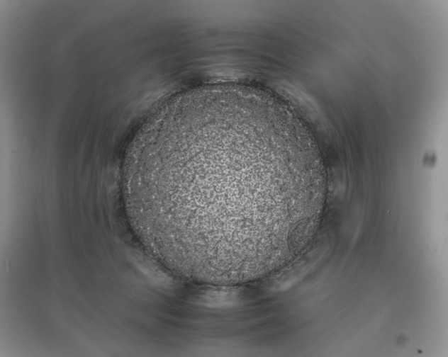 X0000097620369200803142007
