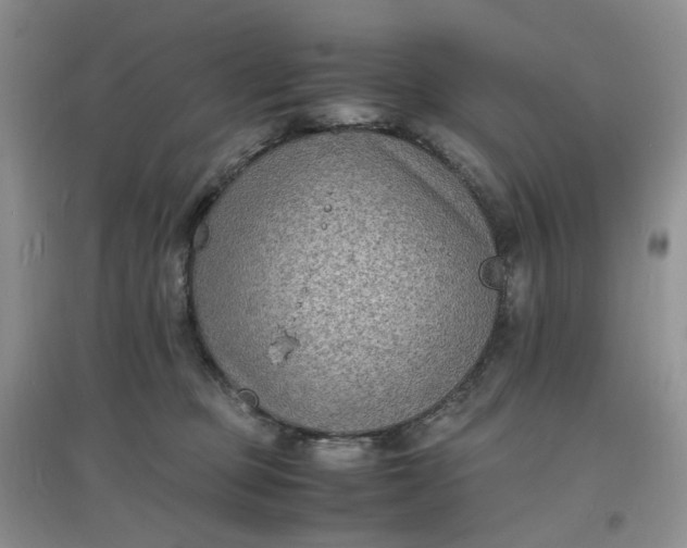 X0000097620373200803142007