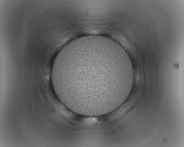 X0000097620374200803142007