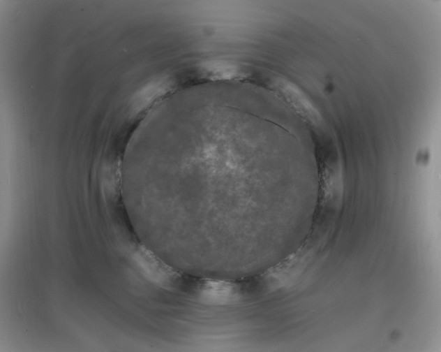X0000097620376200803142007