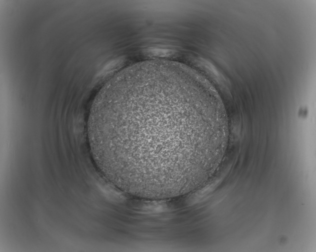 X0000097620377200803142007