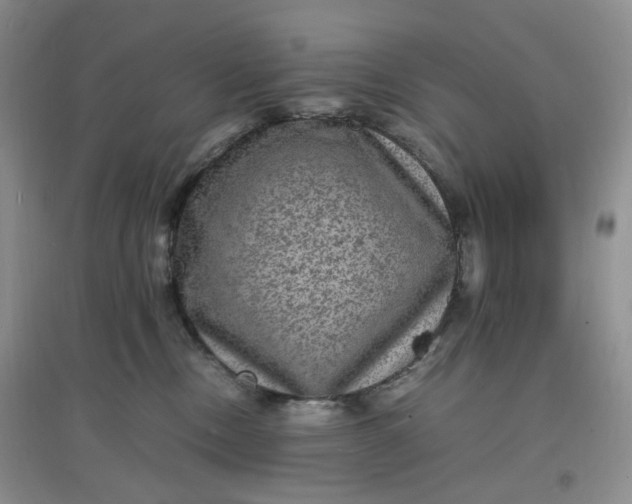X0000097620378200803142007