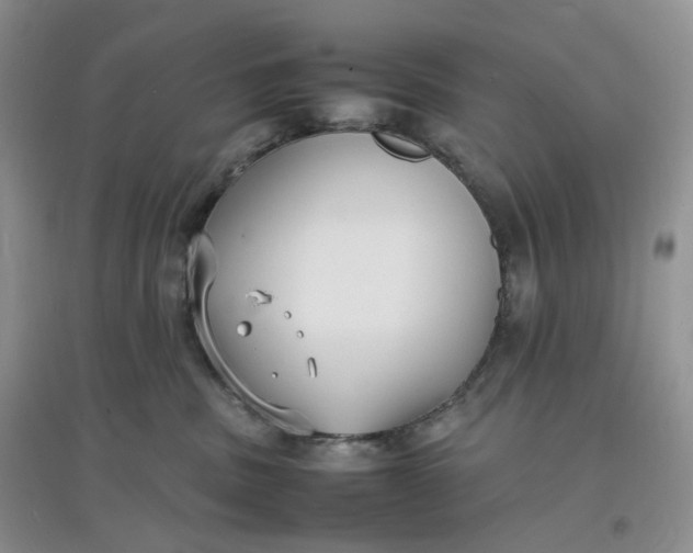 X0000097620379200803142007