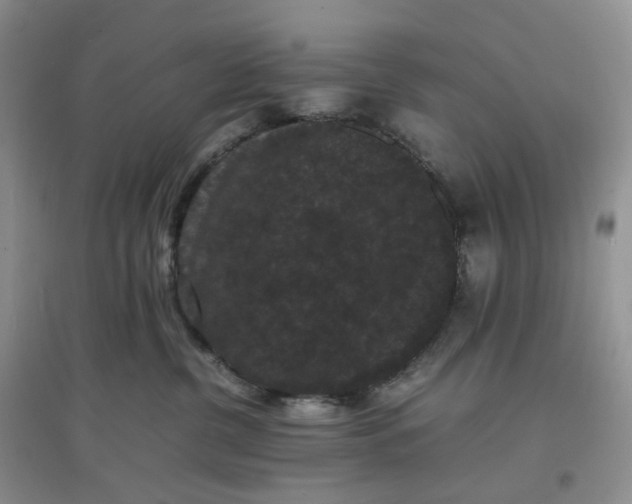X0000097620380200803142008