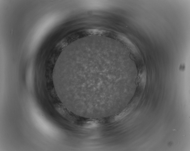 X0000097620381200803142008