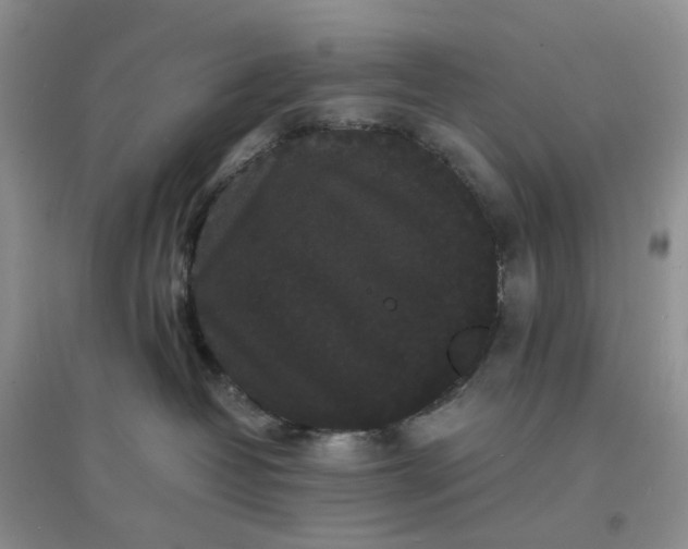 X0000097620382200803142008