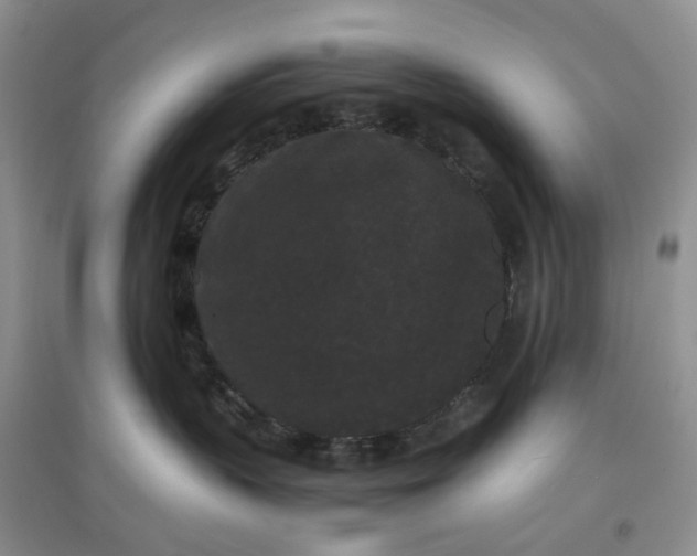 X0000097620383200803142008
