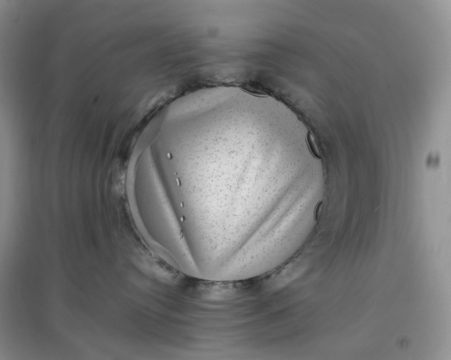 X0000097620384200803142008