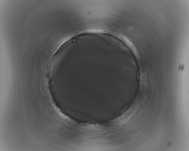 X0000097620385200803142007
