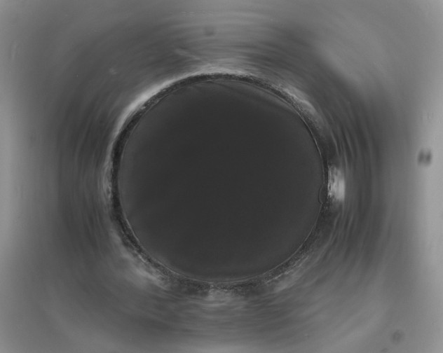 X0000097620388200803142007