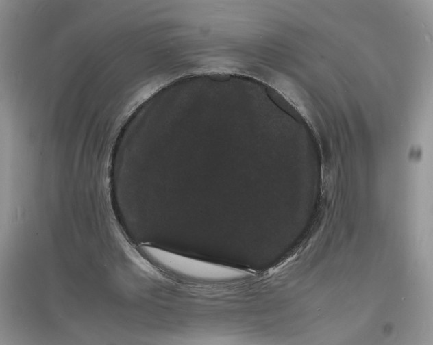 X0000097620389200803142007