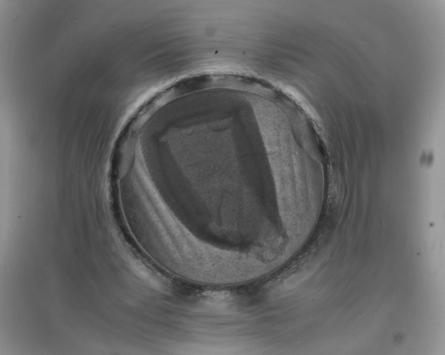 X0000097620391200803142007
