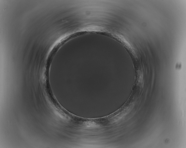 X0000097620392200803142007