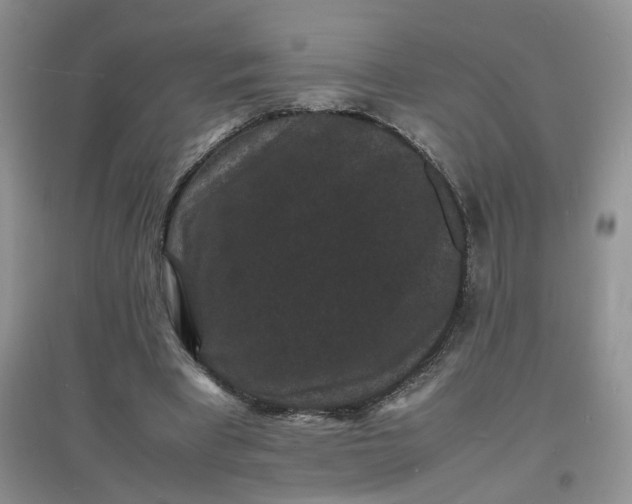 X0000097620393200803142007