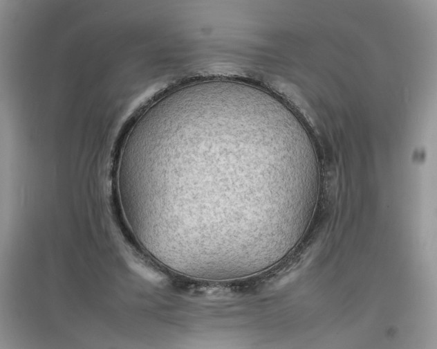 X0000097620395200803142007