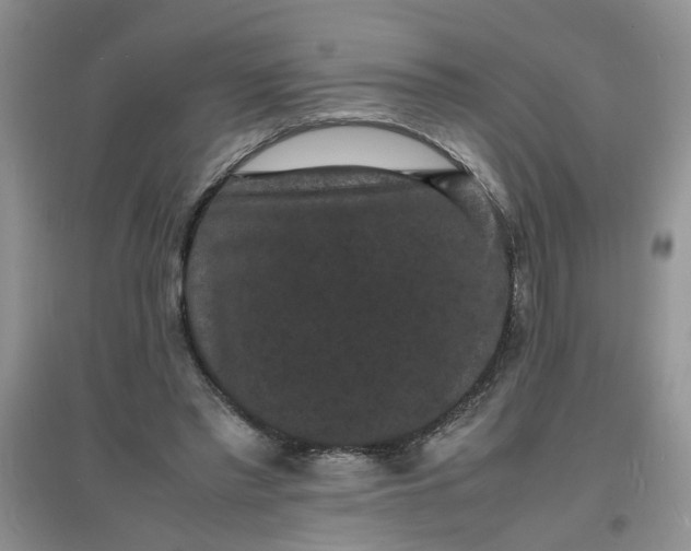X0000097620397200803142007