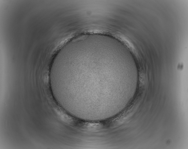 X0000097620401200803142007