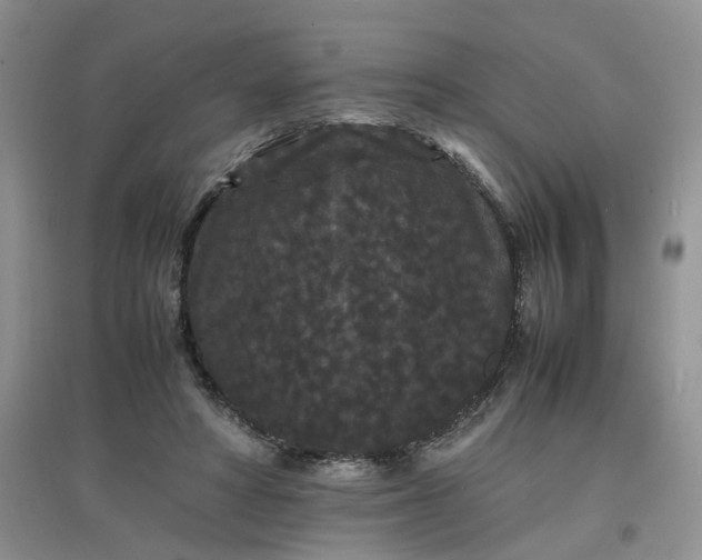 X0000097620402200803142007