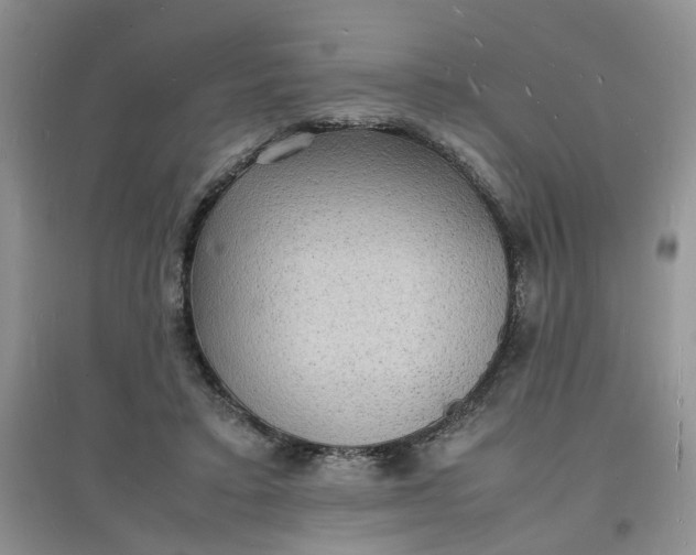 X0000097620403200803142007