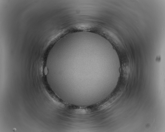 X0000097620404200803142007