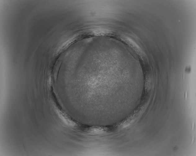 X0000097620405200803142007