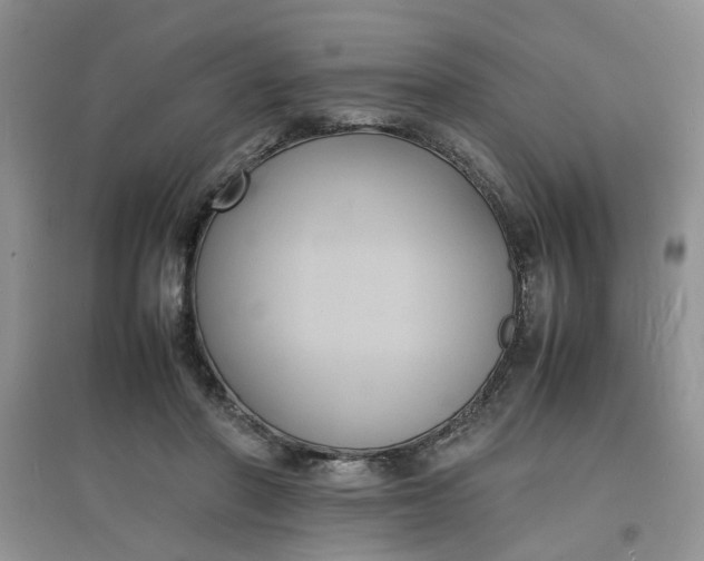 X0000097620406200803142007
