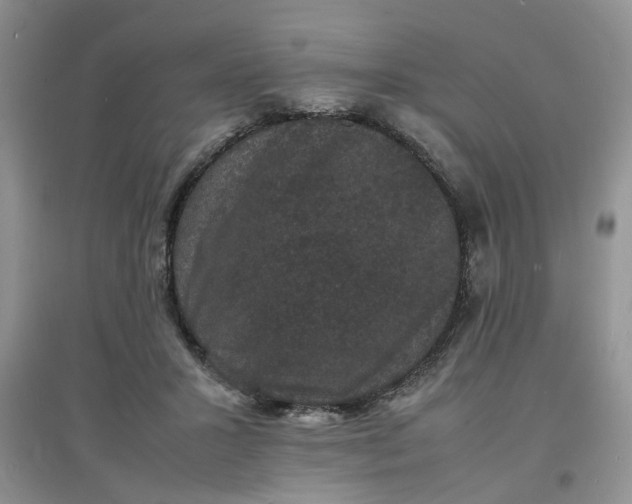 X0000097620407200803142007