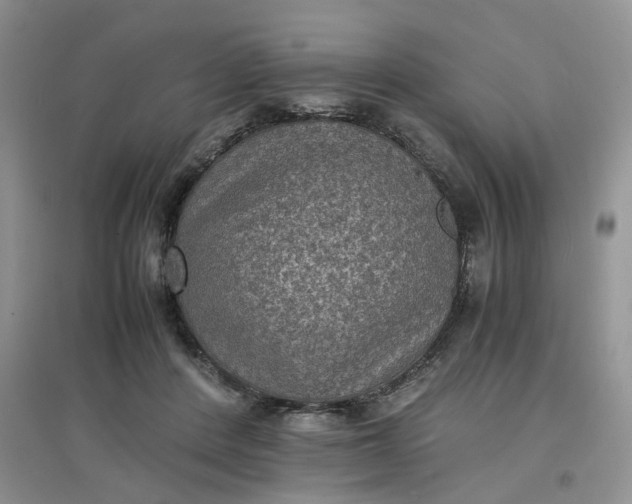 X0000097620408200803142007