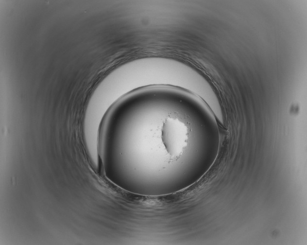 X0000097620409200803142007