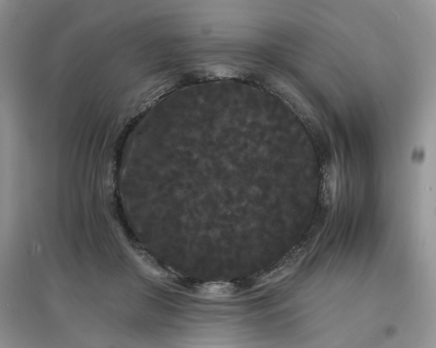 X0000097620410200803142007