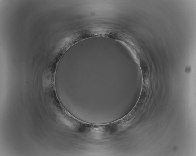 X0000097620411200803142007