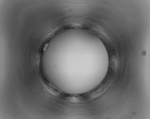 X0000097620412200803142007