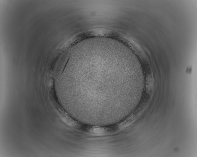 X0000097620413200803142007