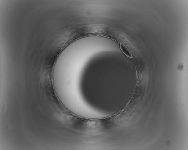 X0000097620415200803142006