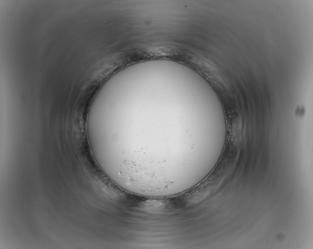 X0000097620418200803142006