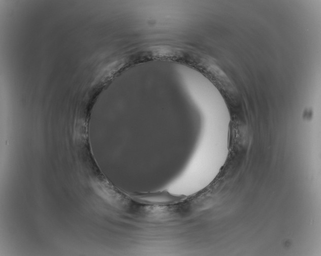 X0000097620419200803142006