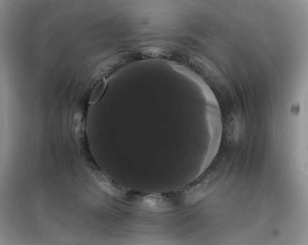 X0000097620420200803142006