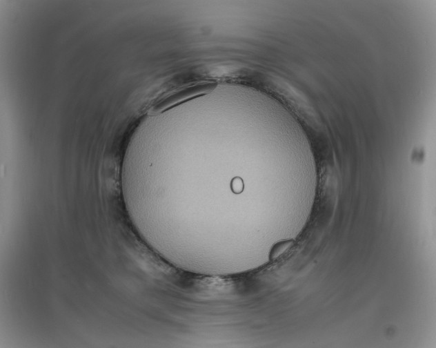 X0000097620421200803142006