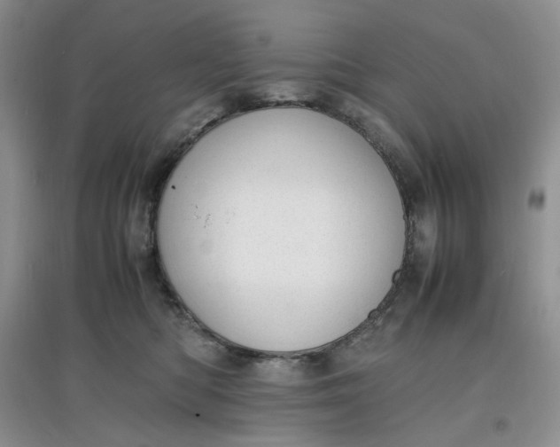 X0000097620422200803142006