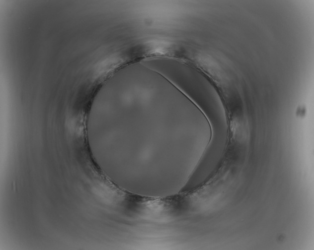 X0000097620423200803142006