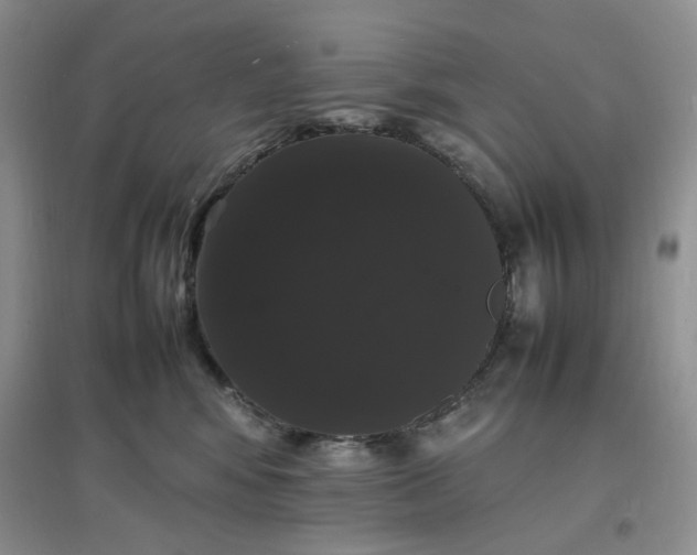X0000097620424200803142006