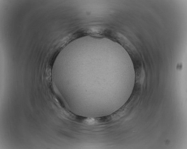 X0000097620425200803142006