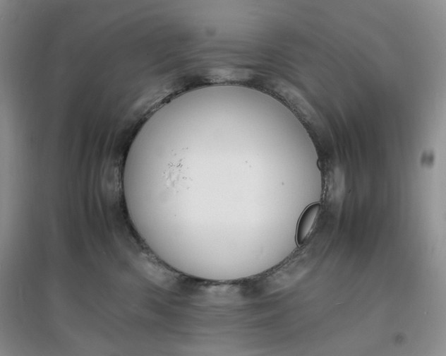 X0000097620426200803142006