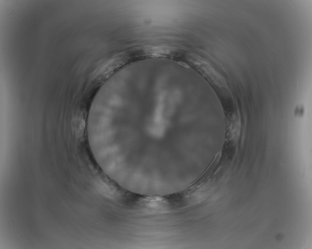 X0000097620427200803142006