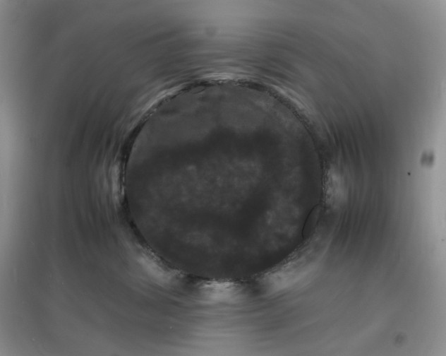 X0000097620428200803142006